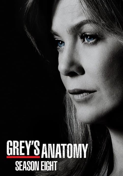 Grey's Anatomy Season 8 poster