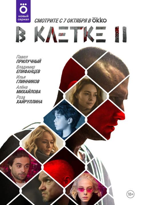 Caged Season 2 poster