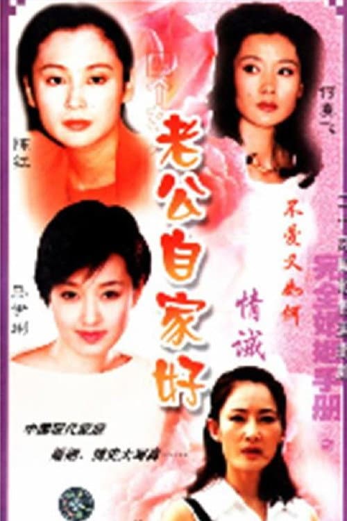 完全婚姻手册 Season 1 poster