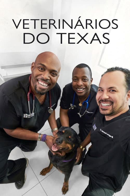 The Vet Life Season 4 poster