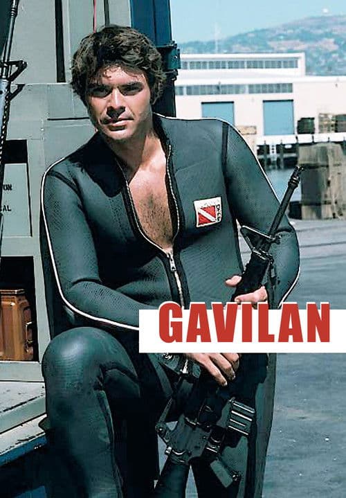 Gavilan Season 1 poster