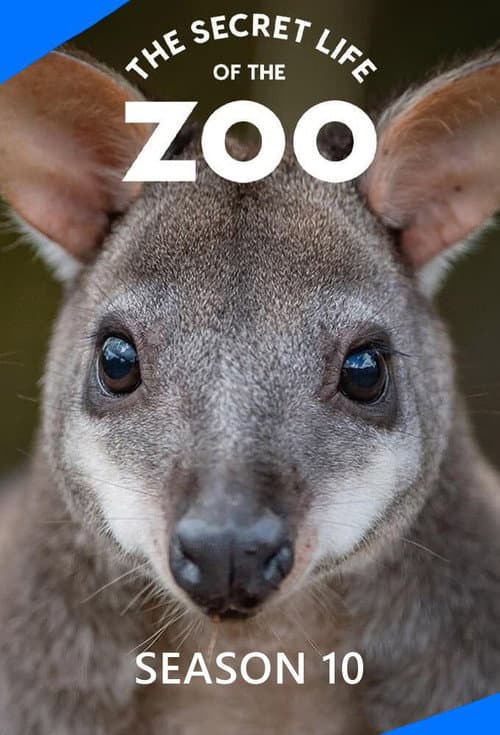 The Secret Life of the Zoo Season 10 poster