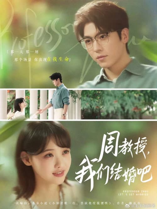 周教授，我们结婚吧 Season 1 poster