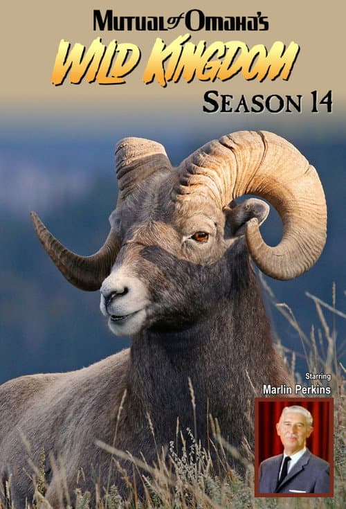 Mutual of Omaha's Wild Kingdom Season 14 poster