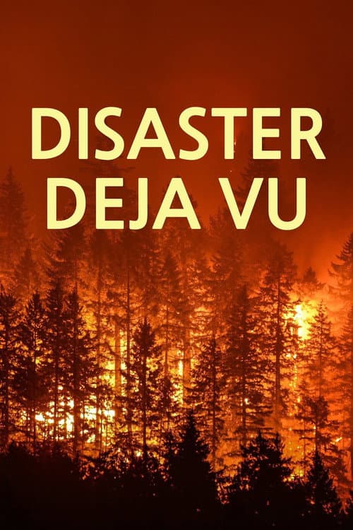 Disaster Deja vu Season 1 poster