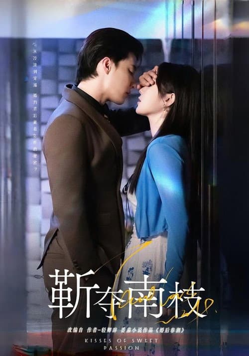 靳夺南枝 Season 1 poster