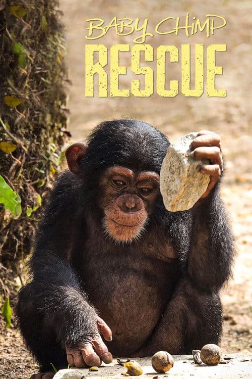 Baby Chimp Rescue Miniseries poster