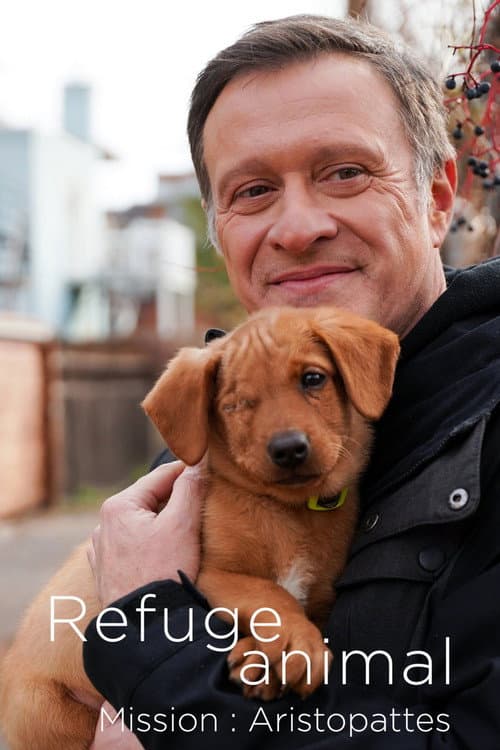 Refuge animal : Mission Aristopattes Season 1 poster