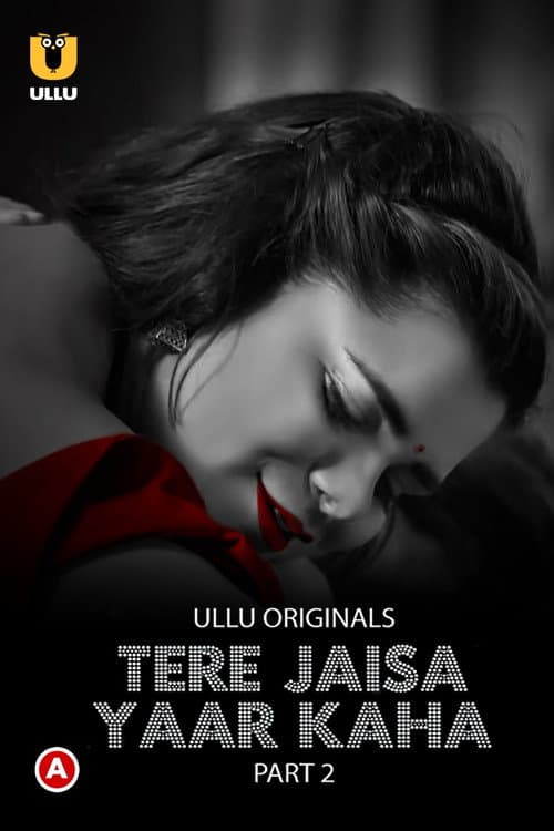 Tere Jaisa Yaar Kaha Season 1 poster