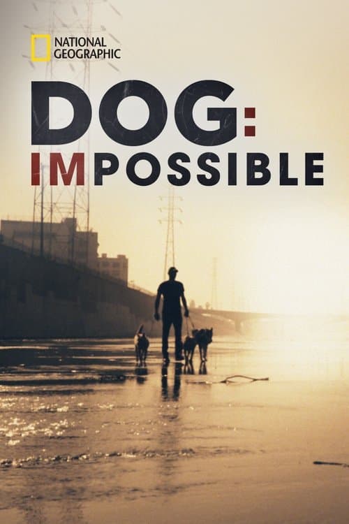 Dog: Impossible Season 1 poster