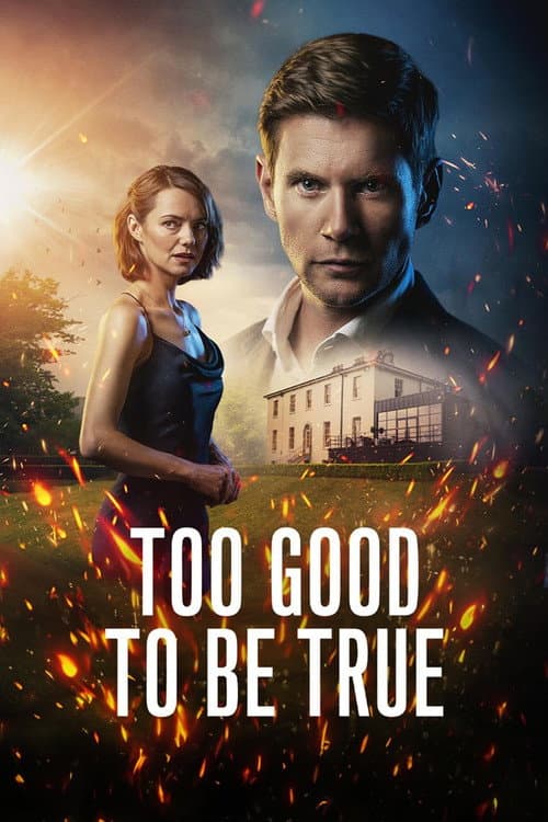 Too Good To Be True Season 1 poster