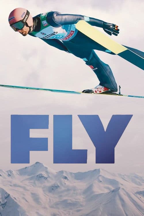 FLY Miniseries poster