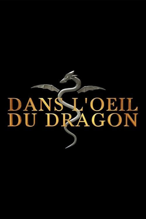 Dans l'oeil du dragon Season 2 poster