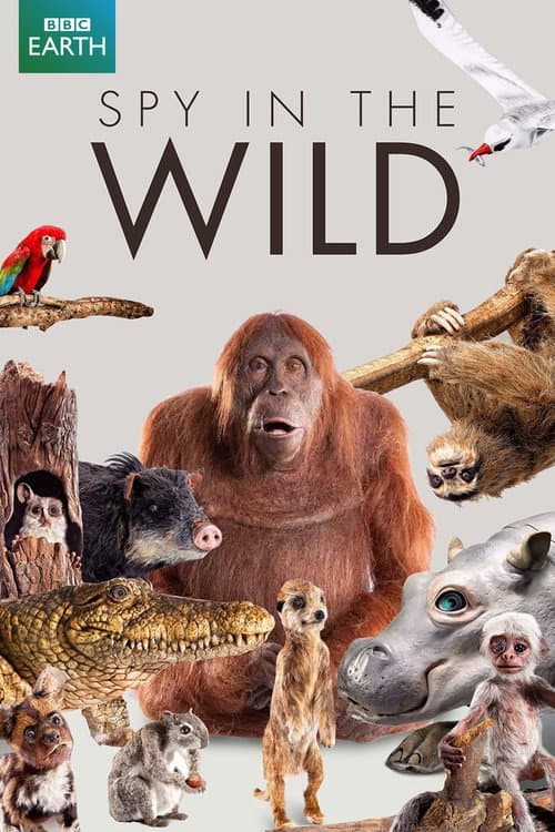 Spy in the Wild Season 1 poster