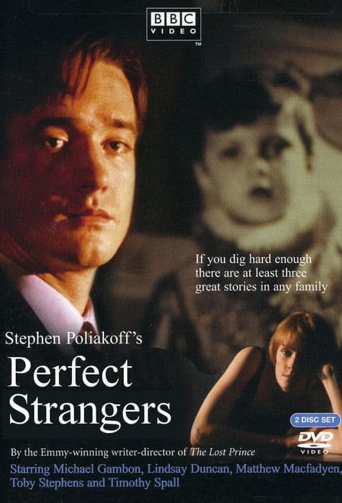 Perfect Strangers Miniseries poster
