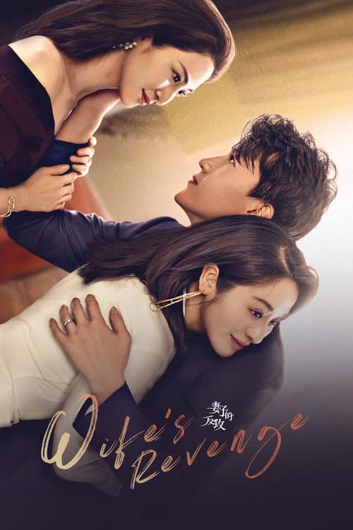 Wife's Revenge Season 1 poster
