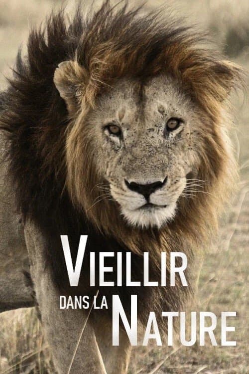 Aging in the Wild Season 1 poster