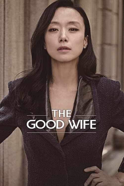 The Good Wife Season 1 poster