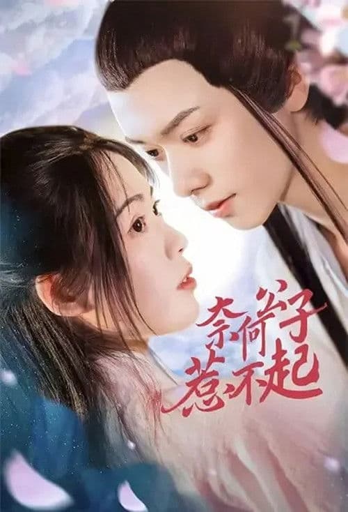 奈何公子惹不起 Season 1 poster