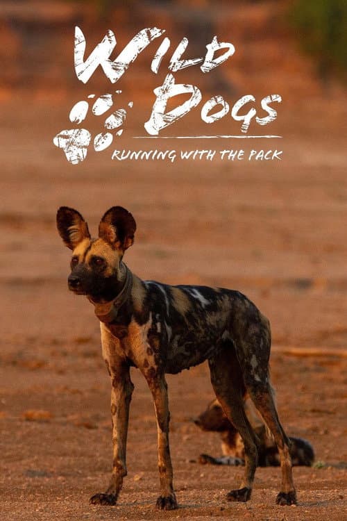 Wild Dogs: Running with the Pack Season 2 poster
