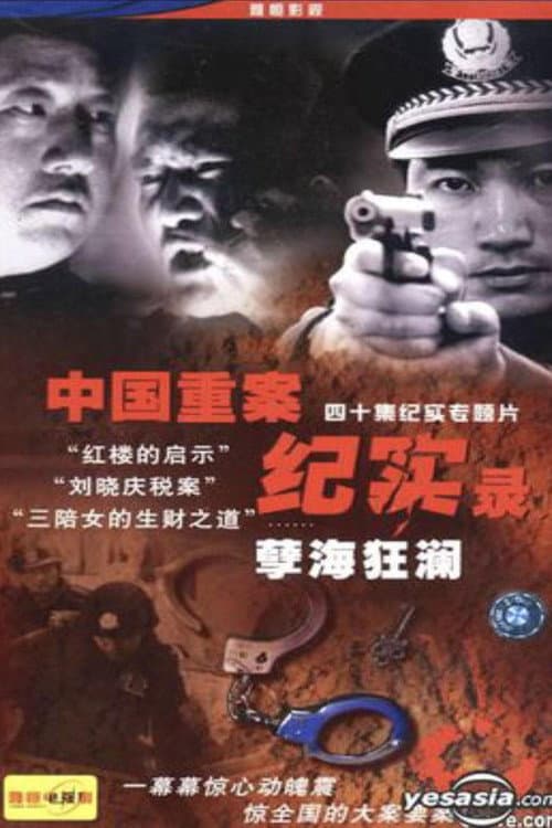 中国重案纪实录 Season 1 poster