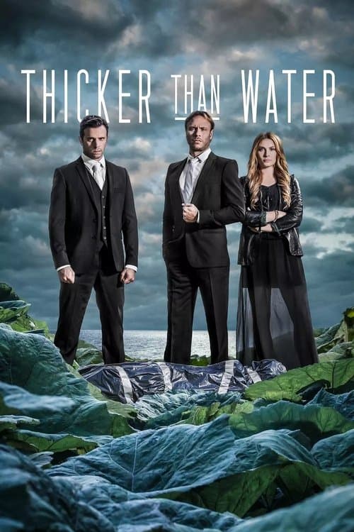 Thicker Than Water Season 3 poster