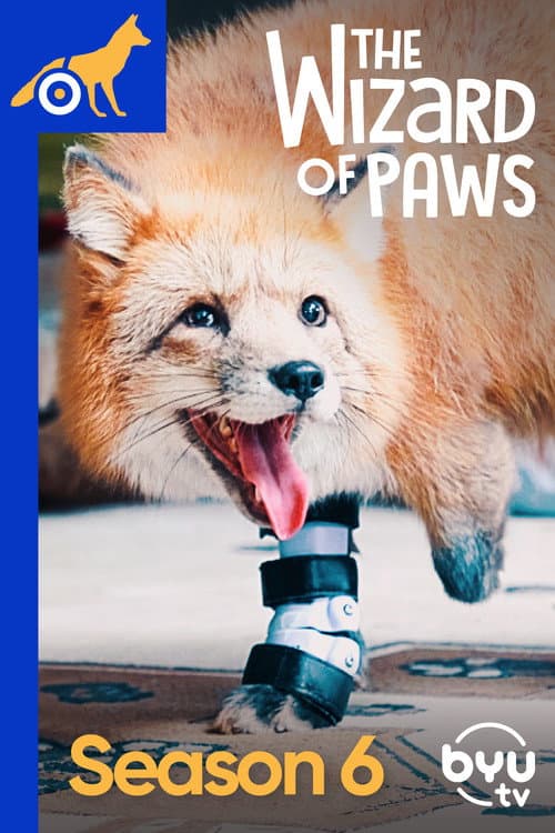 The Wizard of Paws Season 6 poster