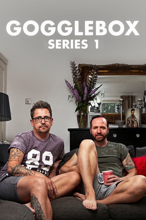Gogglebox Series 1 poster