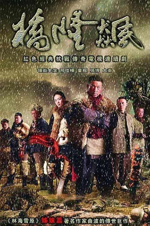桥隆飙 Season 1 poster