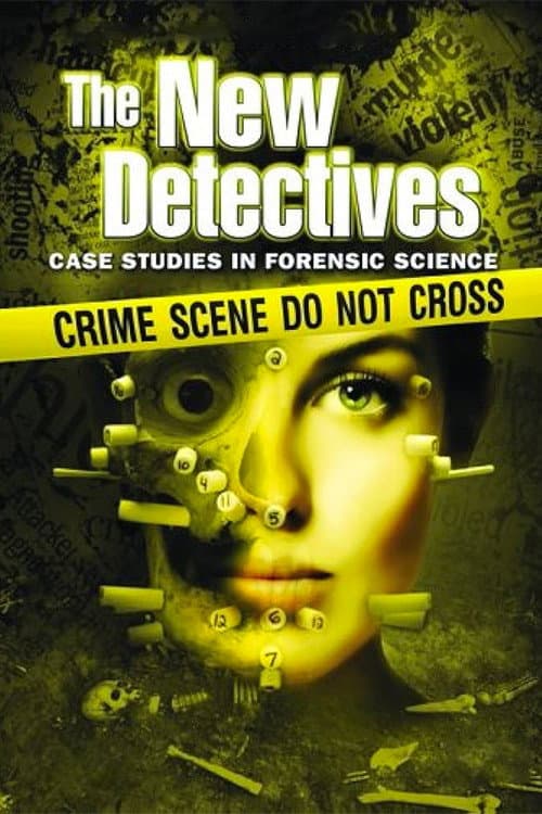 The New Detectives Season 3 poster