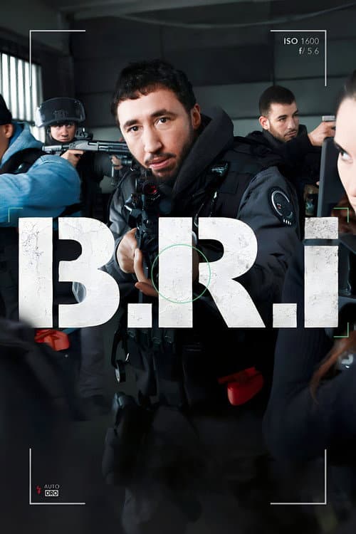 The Brigade Season 1 poster