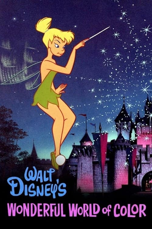 The Wonderful World of Disney Season 2 poster