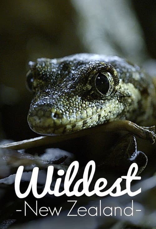 Wildest New Zealand Season 1 poster