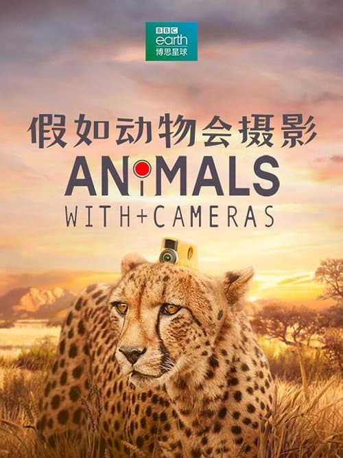 Animals with Cameras Season 1 poster