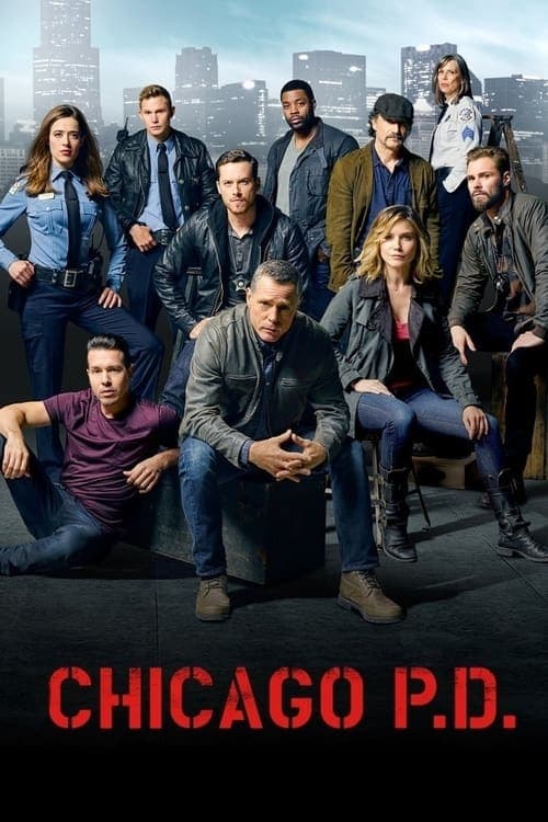 Chicago P.D. Season 3 poster