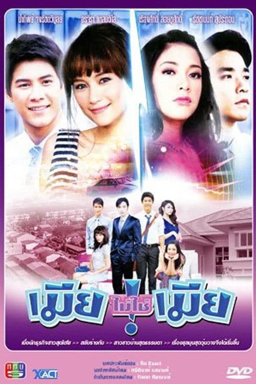 Wife, Not My Wife Season 1 poster