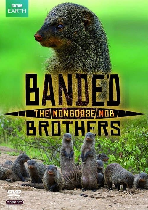 Banded Brothers: The Mongoose Mob Season 1 poster