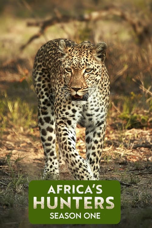 Africa's Hunters Season 1 poster