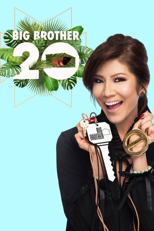 Big Brother Season 20 poster