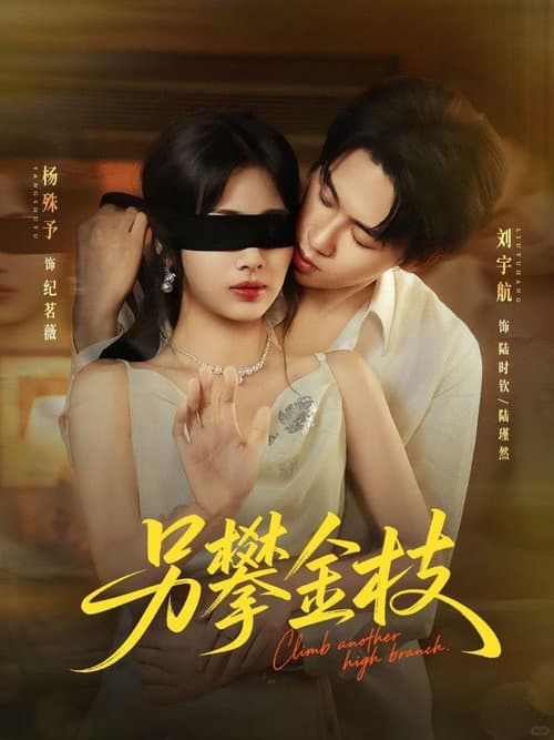 另攀金枝 Season 1 poster