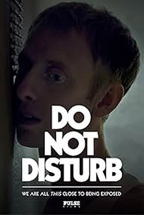 Do Not Disturb Season 1 poster