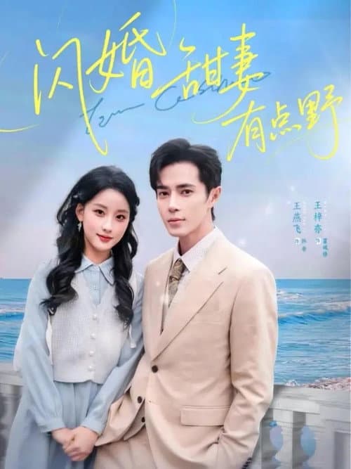闪婚甜妻有点野 Season 1 poster