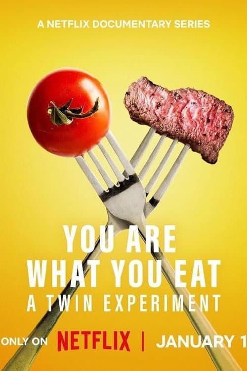 You Are What You Eat: A Twin Experiment Limited Series poster