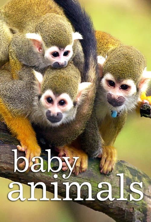Baby Animals Season 2 poster