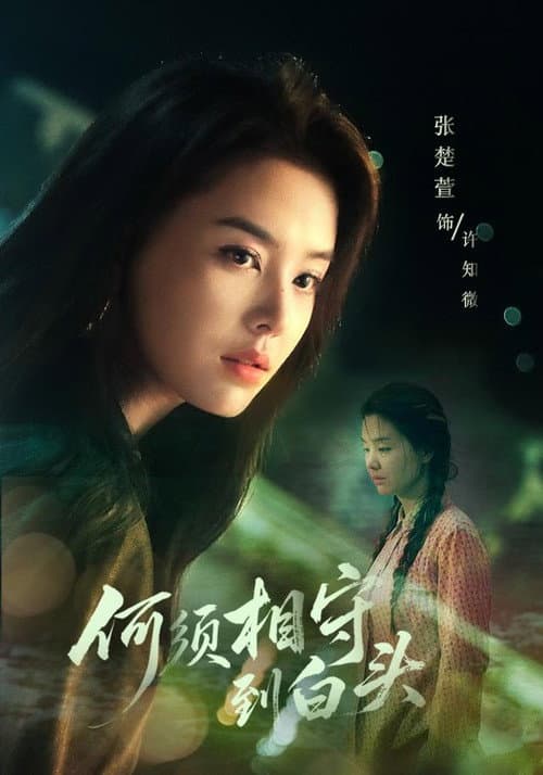何须相守到白头 Season 1 poster