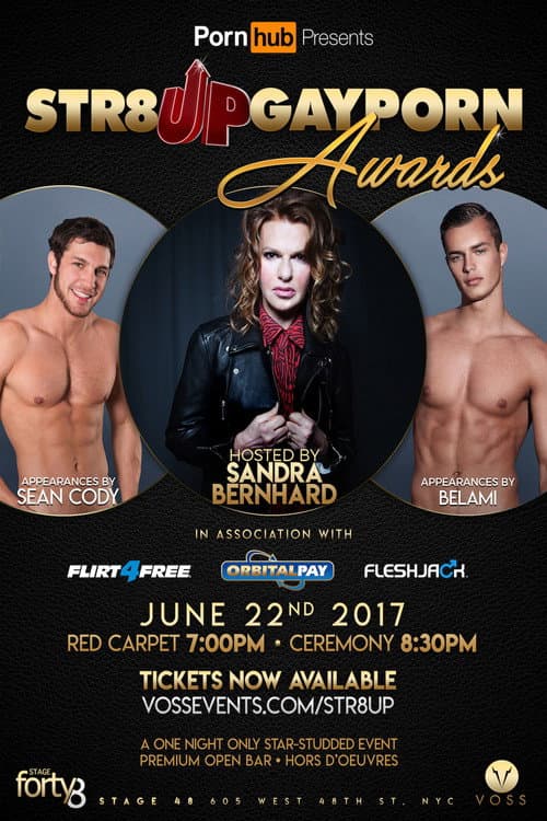 Str8UpGayPorn Awards The 1st Annual Str8UpGayPorn Awards poster