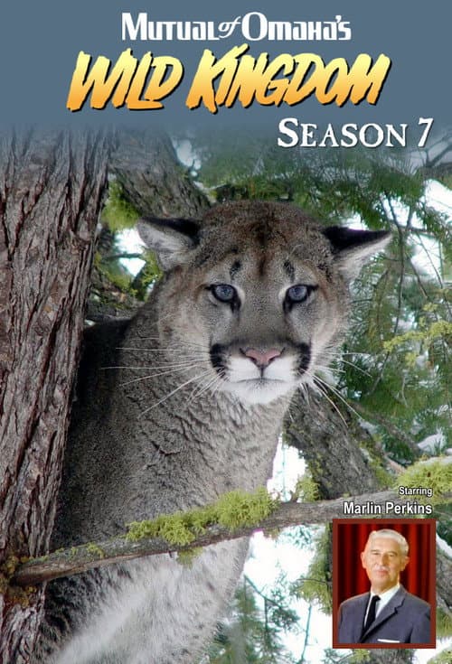 Mutual of Omaha's Wild Kingdom Season 7 poster
