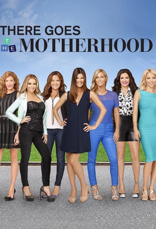There Goes the Motherhood Season 1 poster