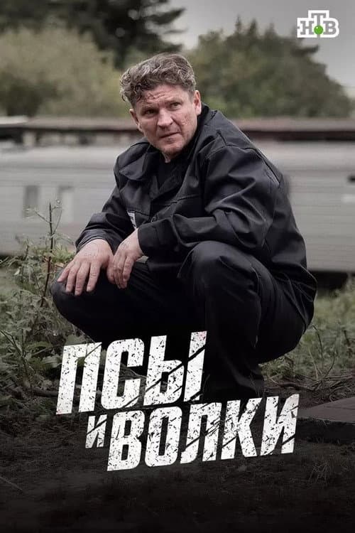 Псы и волки Season 1 poster