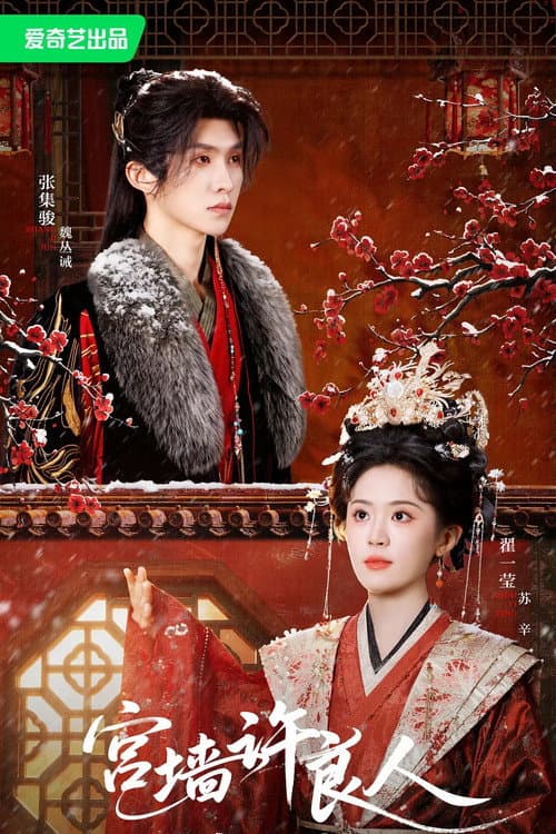 宫墙许良人 Season 1 poster